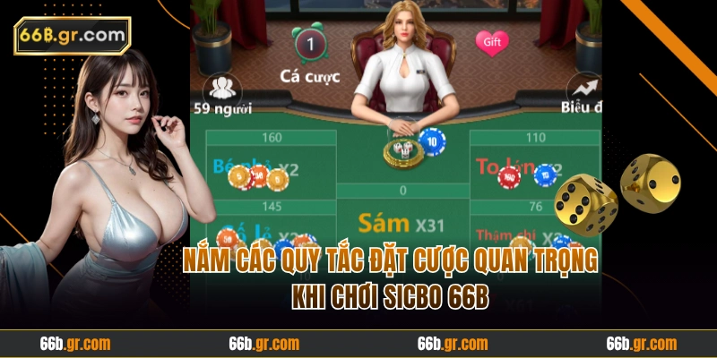 Các quy tắc đặt cược quan trọng trong Sicbo 66B