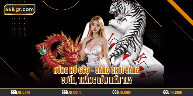 Rồng Hổ 66B